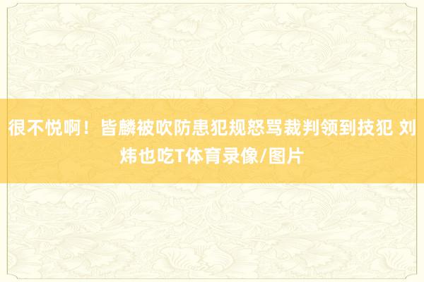 很不悦啊！皆麟被吹防患犯规怒骂裁判领到技犯 刘炜也吃T体育录像/图片