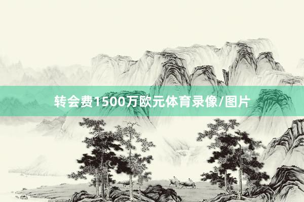 转会费1500万欧元体育录像/图片