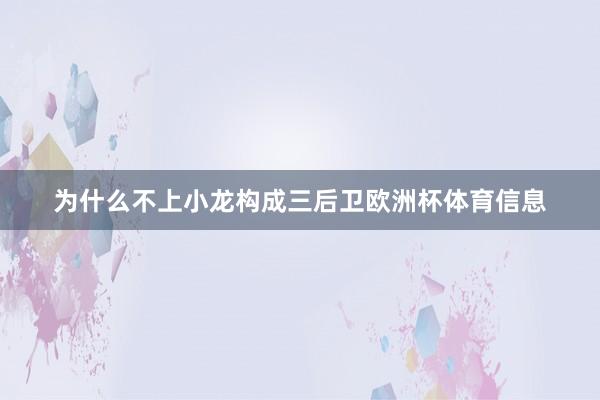 为什么不上小龙构成三后卫欧洲杯体育信息