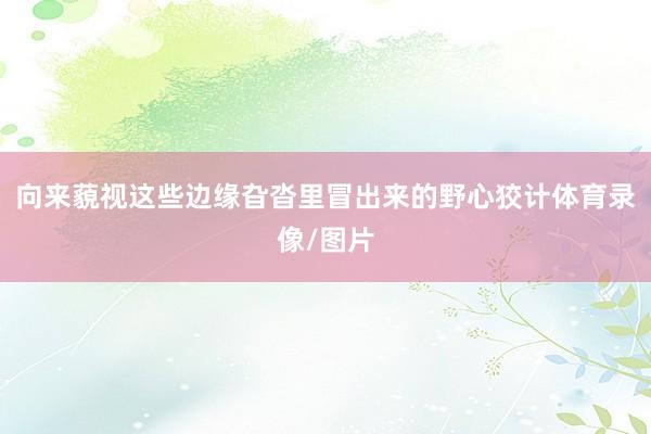 向来藐视这些边缘旮沓里冒出来的野心狡计体育录像/图片
