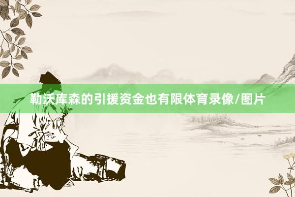 勒沃库森的引援资金也有限体育录像/图片