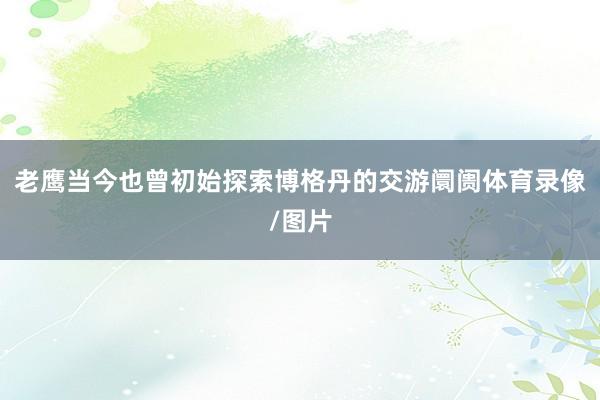 老鹰当今也曾初始探索博格丹的交游阛阓体育录像/图片