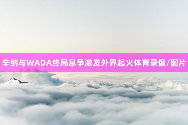 辛纳与WADA终局息争激发外界起火体育录像/图片