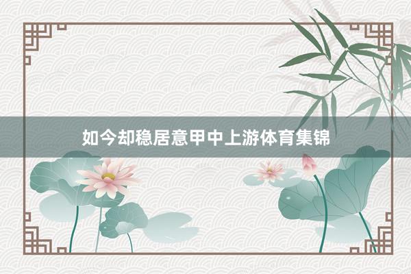 如今却稳居意甲中上游体育集锦