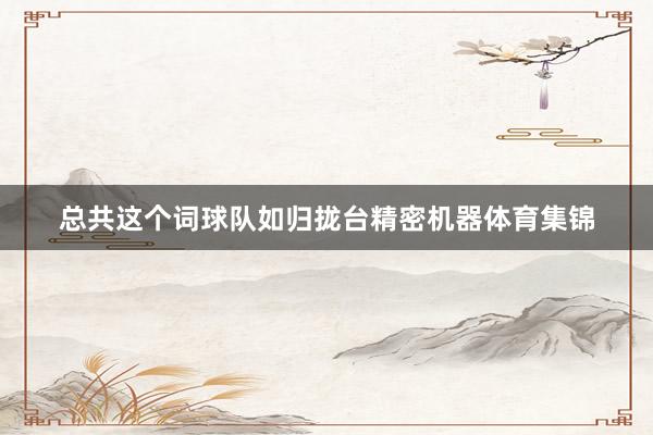 总共这个词球队如归拢台精密机器体育集锦