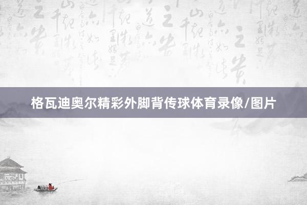 格瓦迪奥尔精彩外脚背传球体育录像/图片