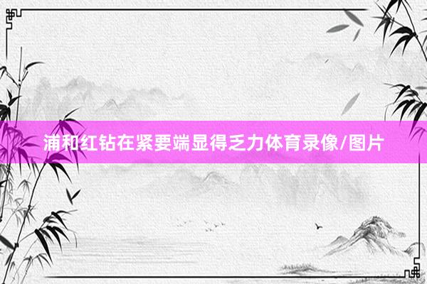 浦和红钻在紧要端显得乏力体育录像/图片