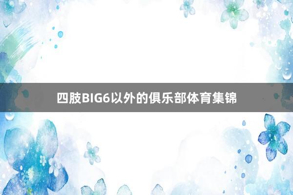 四肢BIG6以外的俱乐部体育集锦
