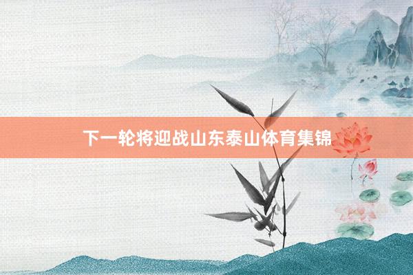 下一轮将迎战山东泰山体育集锦