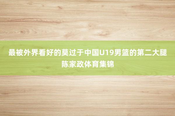 最被外界看好的莫过于中国U19男篮的第二大腿陈家政体育集锦