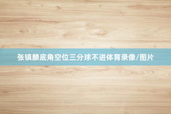 张镇麟底角空位三分球不进体育录像/图片