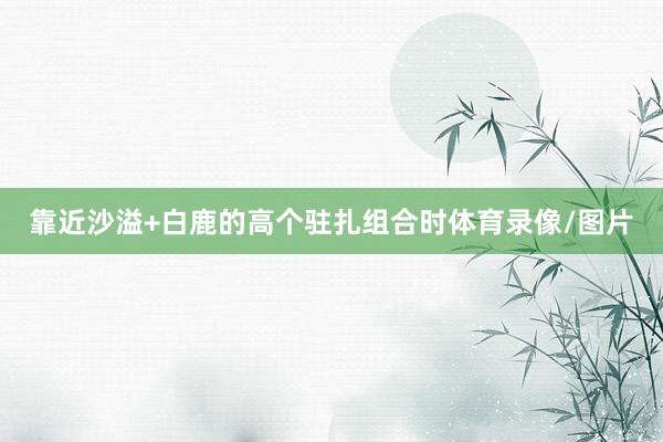 靠近沙溢+白鹿的高个驻扎组合时体育录像/图片