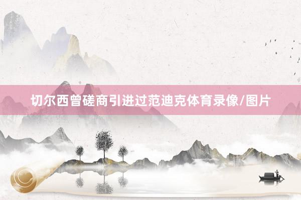 切尔西曾磋商引进过范迪克体育录像/图片
