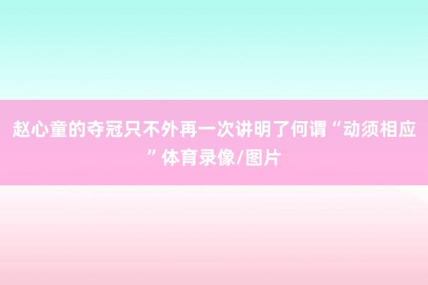 赵心童的夺冠只不外再一次讲明了何谓“动须相应”体育录像/图片