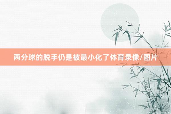 两分球的脱手仍是被最小化了体育录像/图片