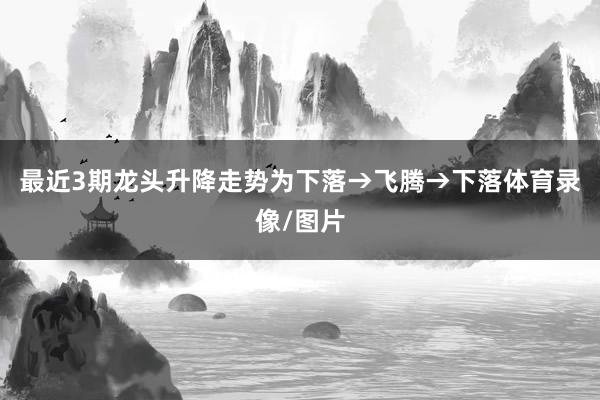 最近3期龙头升降走势为下落→飞腾→下落体育录像/图片