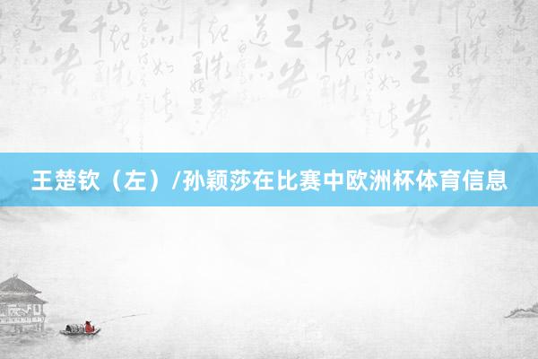 王楚钦（左）/孙颖莎在比赛中欧洲杯体育信息