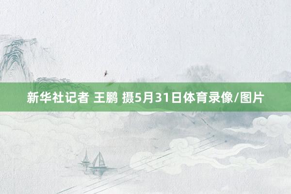 新华社记者 王鹏 摄5月31日体育录像/图片