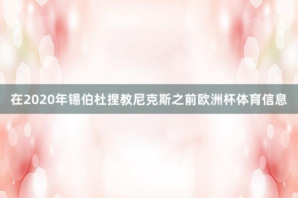 在2020年锡伯杜捏教尼克斯之前欧洲杯体育信息