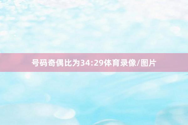 号码奇偶比为34:29体育录像/图片