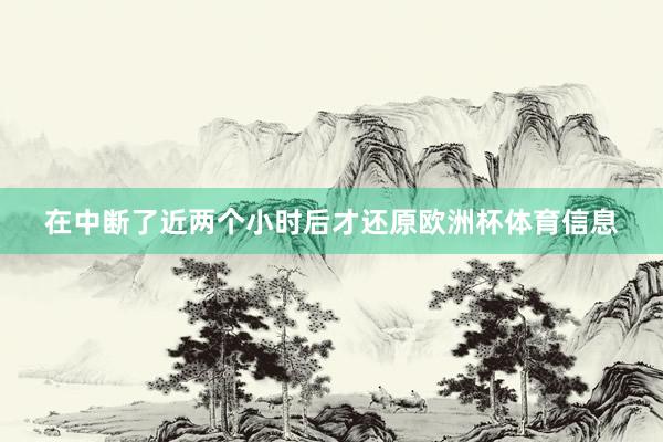 在中断了近两个小时后才还原欧洲杯体育信息