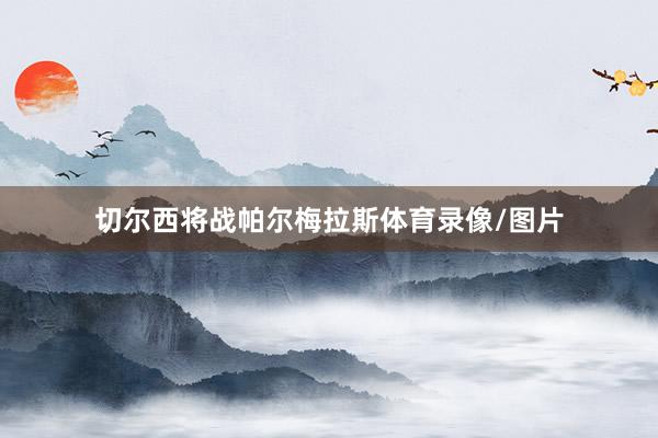 切尔西将战帕尔梅拉斯体育录像/图片