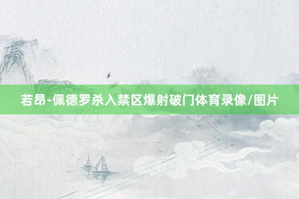 若昂-佩德罗杀入禁区爆射破门体育录像/图片
