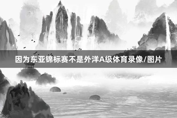 因为东亚锦标赛不是外洋A级体育录像/图片