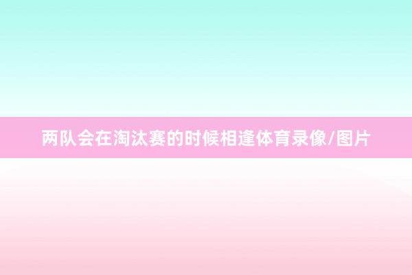 两队会在淘汰赛的时候相逢体育录像/图片