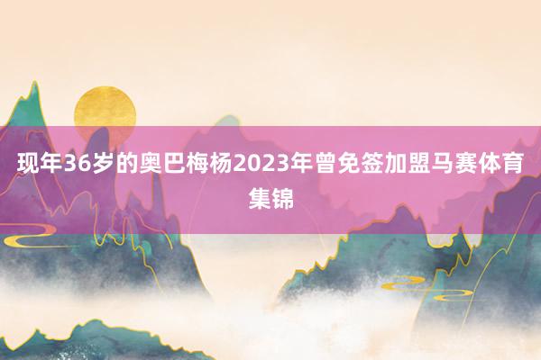 现年36岁的奥巴梅杨2023年曾免签加盟马赛体育集锦