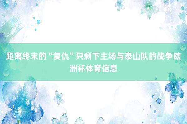 距离终末的“复仇”只剩下主场与泰山队的战争欧洲杯体育信息