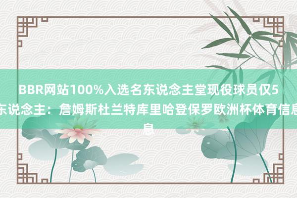 BBR网站100%入选名东说念主堂现役球员仅5东说念主：詹姆斯杜兰特库里哈登保罗欧洲杯体育信息