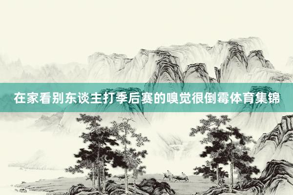 在家看别东谈主打季后赛的嗅觉很倒霉体育集锦