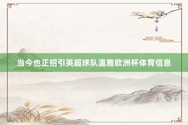 当今也正招引英超球队温雅欧洲杯体育信息