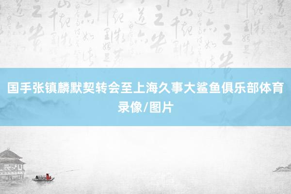国手张镇麟默契转会至上海久事大鲨鱼俱乐部体育录像/图片