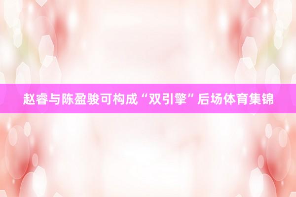 赵睿与陈盈骏可构成“双引擎”后场体育集锦