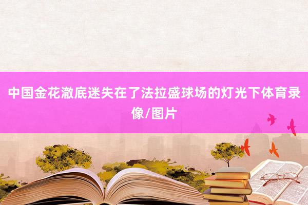 中国金花澈底迷失在了法拉盛球场的灯光下体育录像/图片