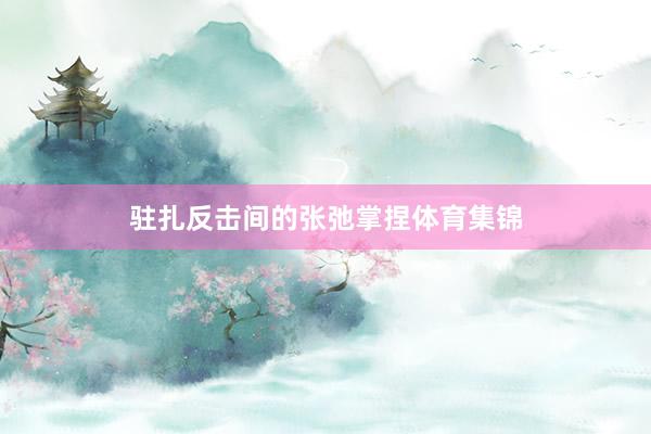 驻扎反击间的张弛掌捏体育集锦