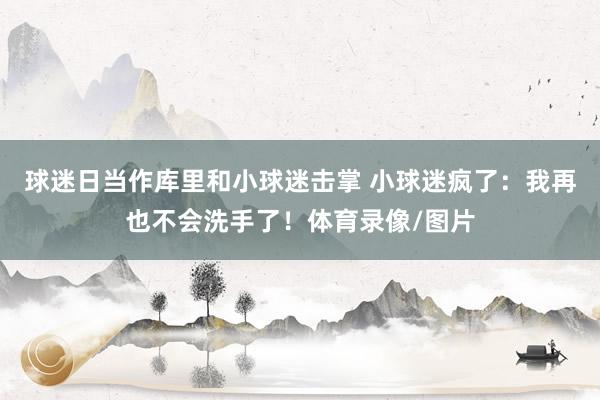 球迷日当作库里和小球迷击掌 小球迷疯了：我再也不会洗手了！体育录像/图片