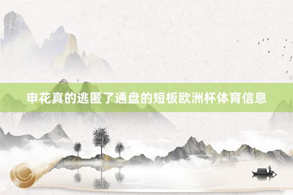 申花真的逃匿了通盘的短板欧洲杯体育信息