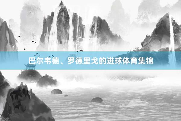 巴尔韦德、罗德里戈的进球体育集锦