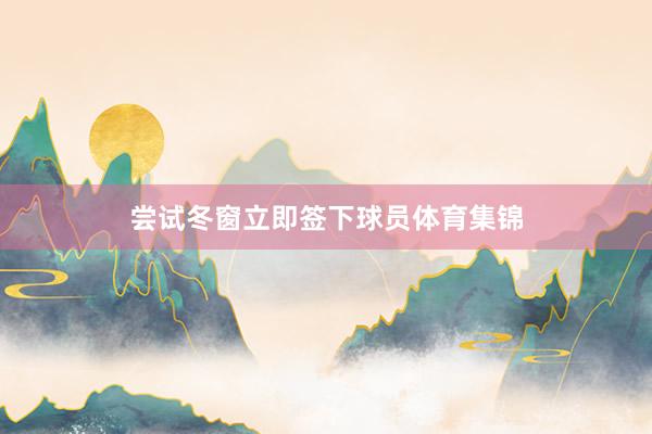 尝试冬窗立即签下球员体育集锦
