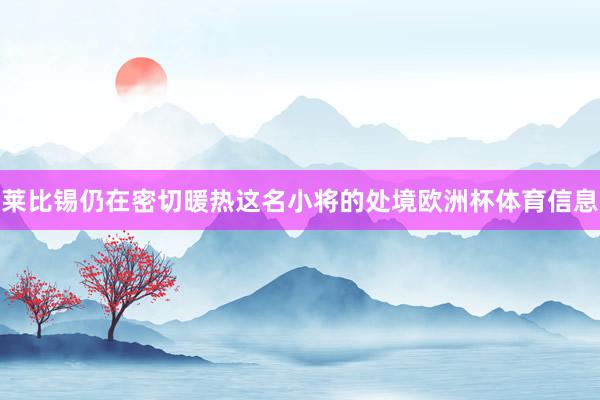 莱比锡仍在密切暖热这名小将的处境欧洲杯体育信息