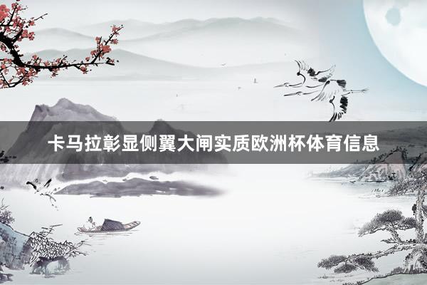 卡马拉彰显侧翼大闸实质欧洲杯体育信息