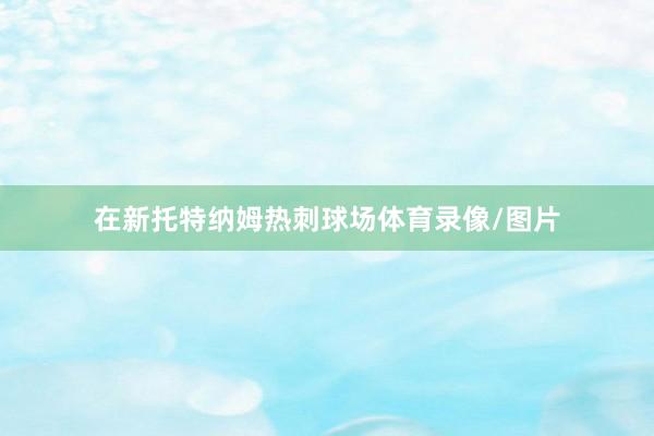 在新托特纳姆热刺球场体育录像/图片