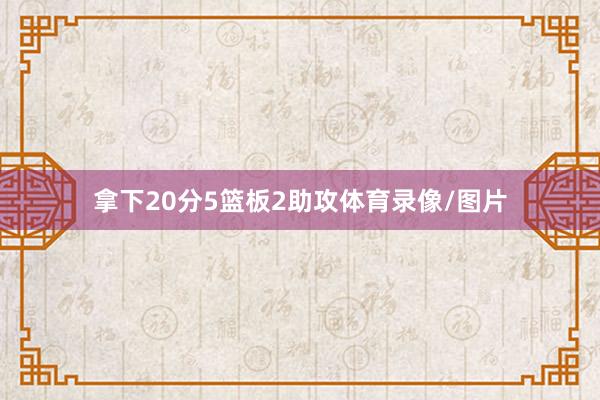 拿下20分5篮板2助攻体育录像/图片