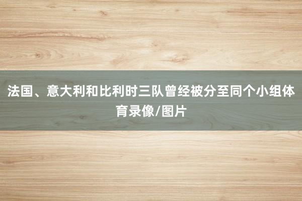 法国、意大利和比利时三队曾经被分至同个小组体育录像/图片