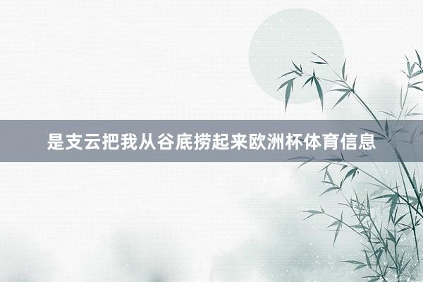 是支云把我从谷底捞起来欧洲杯体育信息