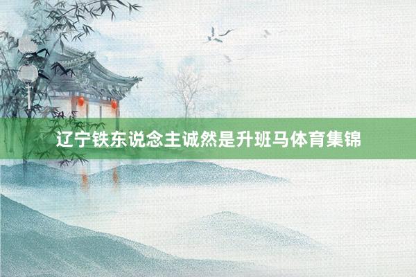 辽宁铁东说念主诚然是升班马体育集锦