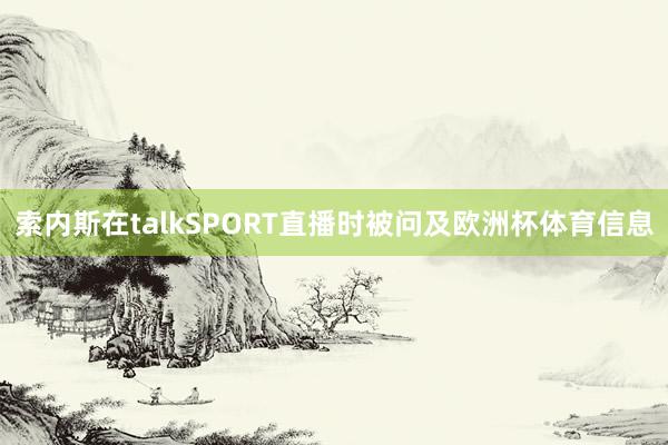 索内斯在talkSPORT直播时被问及欧洲杯体育信息